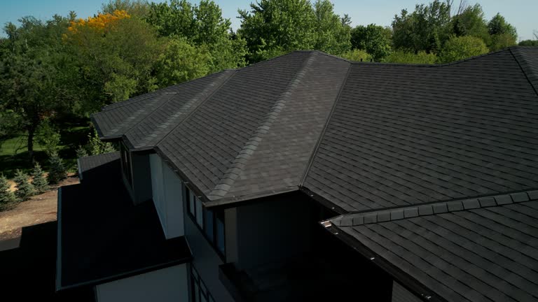 Best Roof Moss and Algae Removal  in Sans Souci, SC