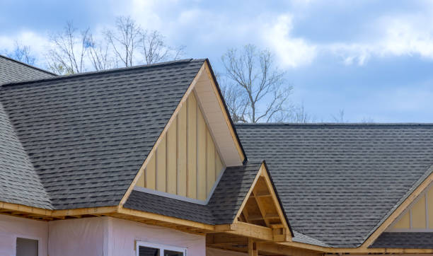 Best Green or Eco-Friendly Roofing Solutions  in Sans Souci, SC